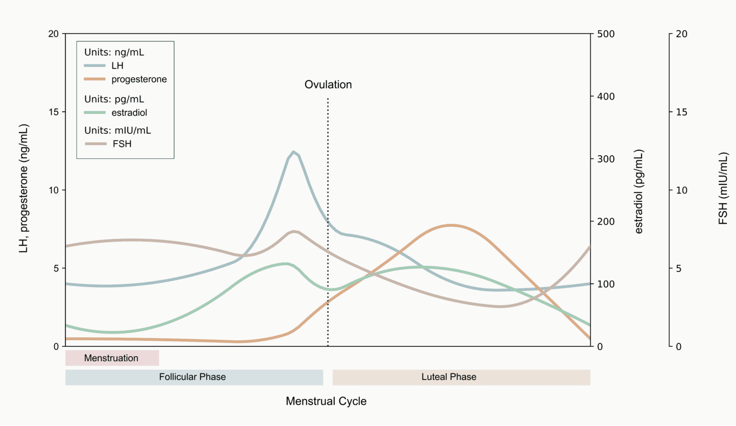 How does hormonal birth control work? adyn