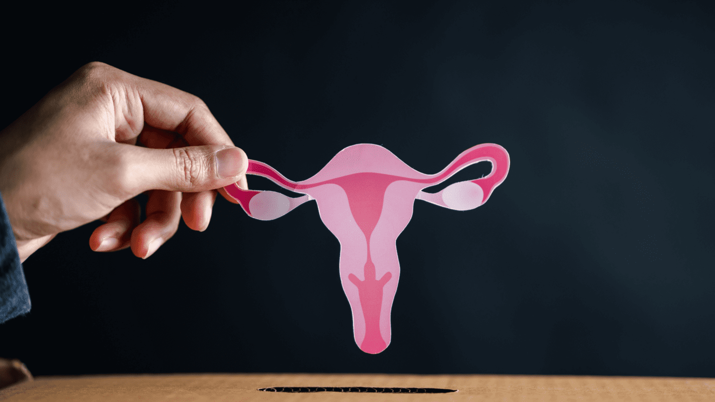 Person holding a paper cutout image of a uterus